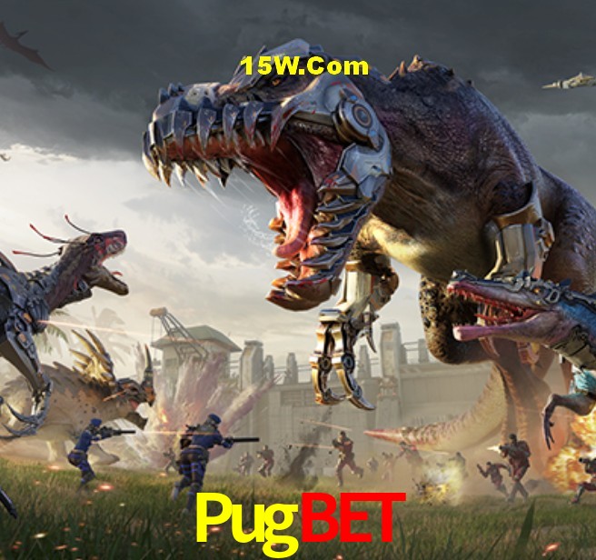 Experiência VIP Pugbet