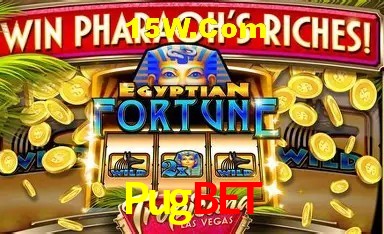 Recursos de Bônus Pugbet